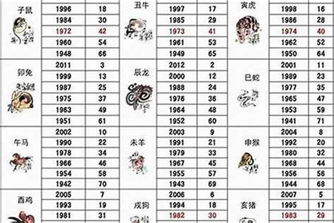 84年属|1984年1月出生属什么生肖